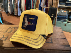 Lucky Duck / Gotta be quicker- Lucky